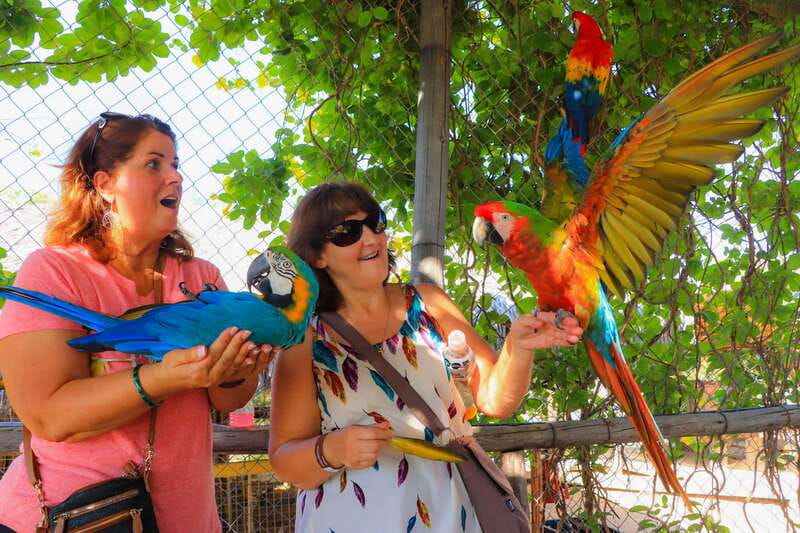 Los Cabos: Animal Encounter & Aqua Park Adventure - The 4-Hour Flow: Pickup, Safety Briefing, and Two Guided Blocks