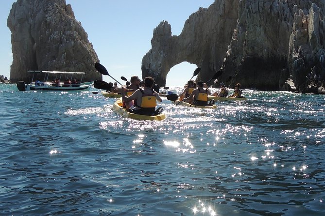 Los Cabos Arch and Playa del Amor Tour by Glass Bottom Kayak - Pelican Rock snorkeling: where the fish show up fast
