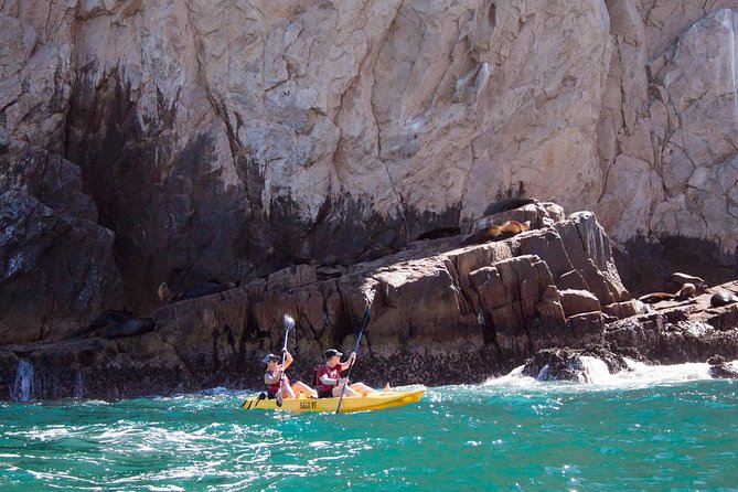 Los Cabos Arch and Playa del Amor Tour by Glass Bottom Kayak - El Arco (The Arch) and Land’s End: sea lions, birds, and that wow moment