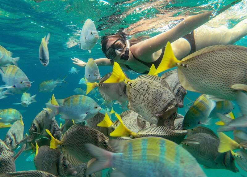 Los Cabos Arch & Lover’s Beach Tour + Snorkeling Tour - El Arco Photo Stop: 10 Minutes That Save Your Whole Trip
