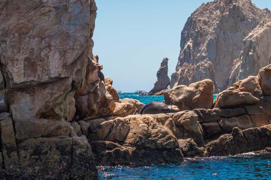 los cabos arch tour & drinks +snorkel tour - Cabo Arch + Snorkel: Why this 2-hour format works