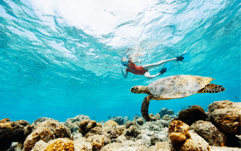 los cabos arch tour & drinks +snorkel tour - About 1 hour snorkeling: what you’re actually paying for