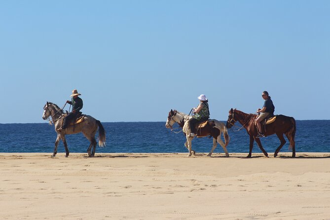 Los Cabos ATV and Pacific Horseback Riding Combo Tour - The ATV portion: desert tracks, canyon feel, and big Baja views