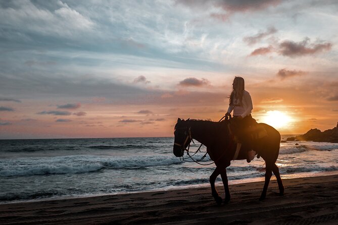 Los Cabos ATV and Pacific Horseback Riding Combo Tour - Price and value: what you get for about $111.43