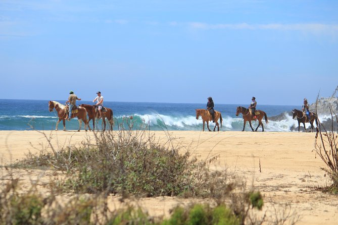 Los Cabos ATV and Pacific Horseback Riding Combo Tour - What happens at Rancho Carisuva before you ride