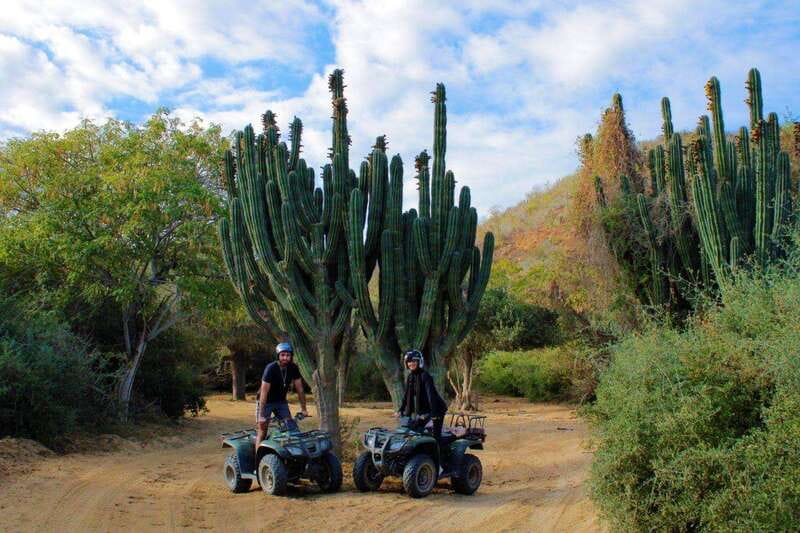 Los cabos:ATV beach&desert with transfer & tequila tasting - Should You Book ATV Beach & Desert With Transfer and Tequila?