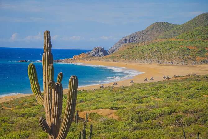 Los Cabos ATV Tour Double Rider - Los Cabos ATV Double Rider: Desert Tracks That Actually Go Somewhere