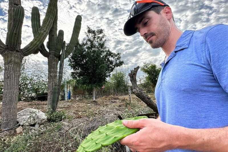 Los Cabos: Azteca Cactus Taco Farm to Table Cooking Class - The nopal harvest class: why this cactus shows up in Mexican cuisine