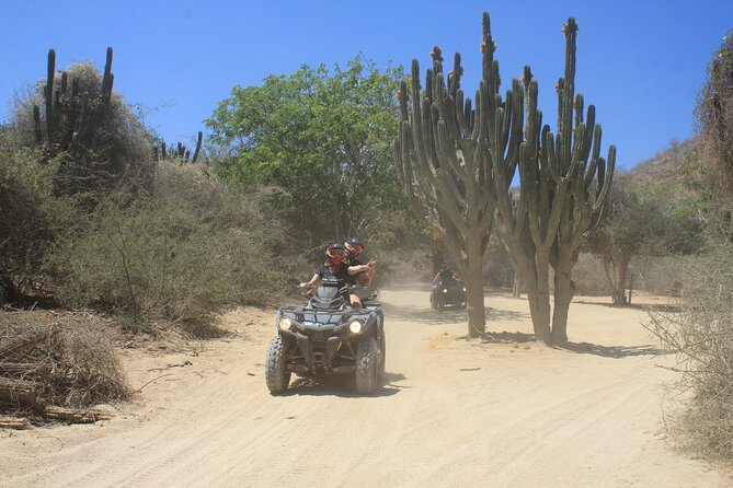 Los Cabos Beach & Desert Tour in Automatic ATV + Tequila Tasting - Guides and Safety: What to Expect From Raul, Javier, Alberto, Chino, and Daniel