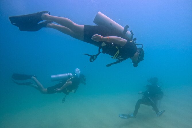 Los Cabos Beginner Scuba Dive Experience - Key takeaways before you go