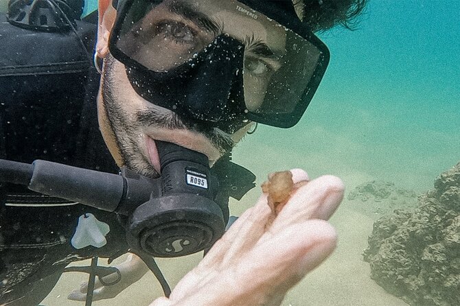 Los Cabos Beginner Scuba Dive Experience - What to bring and how to get your first session feeling easy