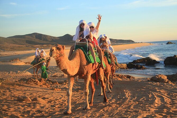 Los Cabos Camel Ride Adventure On The Beach - Camel ride on Playa Migrino: what the 30 minutes feels like