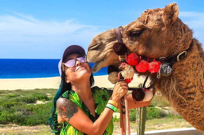 Los Cabos Camel Ride Adventure On The Beach - Desert safari ride plus reserve hike: a more complete nature day
