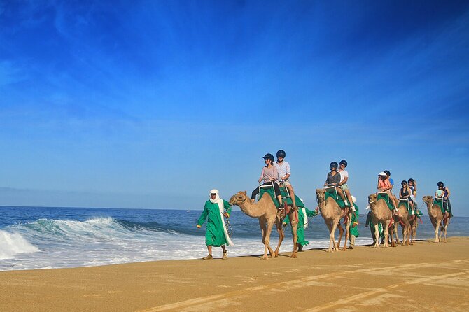 Los Cabos Camel Ride Adventure On The Beach - Lunch and the all-you-can-eat buffet: good value, no extra planning