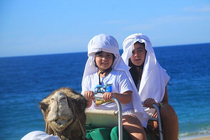 Los Cabos Camel Ride Adventure On The Beach - Price and the $25 cash-only park fee: do the math first