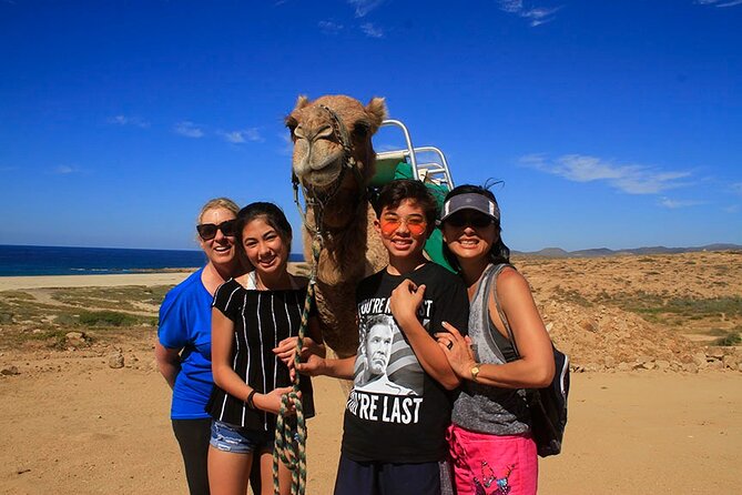 Los Cabos Camel Ride Adventure On The Beach - Group size and comfort: why it helps on a beach tour