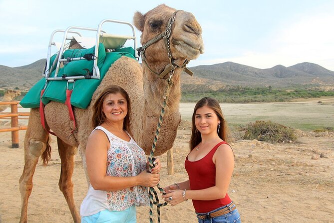 Los Cabos Camel Ride Adventure On The Beach - Who should book this camel ride adventure (and who might skip it)