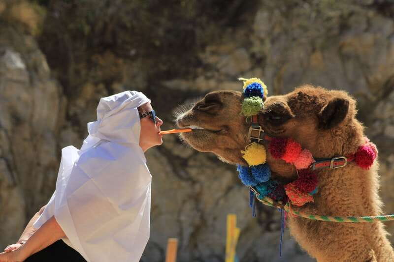 Los Cabos: Camel Ride in the Canyon & Thrilling Water-Slides - Key Things I’d Plan for Before You Go