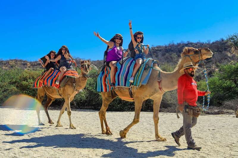 Los Cabos: Camel Ride in the Canyon & Thrilling Water-Slides - Who Should Book This Camel Canyon Tour