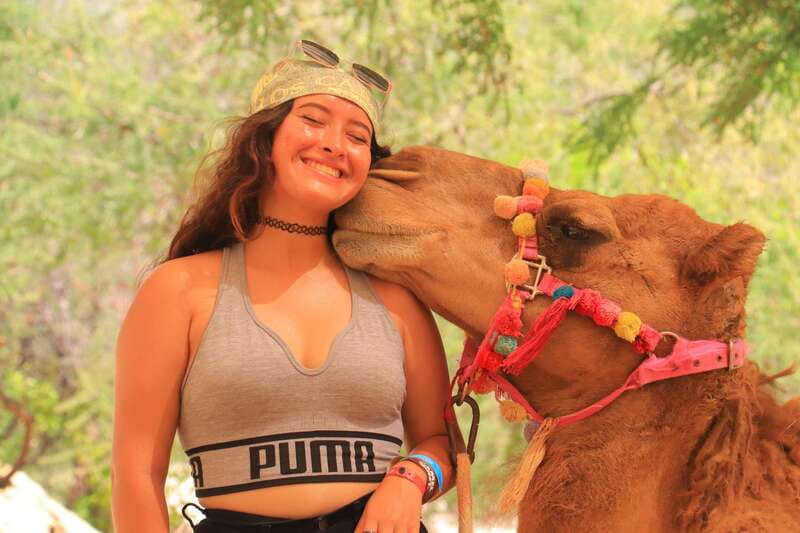 Los Cabos: Camel Ride in the Canyon & Thrilling Water-Slides - First You Meet the Camels: Facts, Games, and Camel Confidence