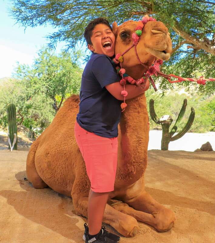 Los Cabos: Camel Ride in the Canyon & Thrilling Water-Slides - The Camel Ride Through the Oasis: What You’ll Remember