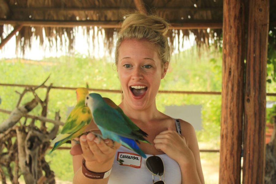 Los Cabos: Camel Ride in the Canyon & Thrilling Water-Slides - Wildlife Sanctuary + Lion’s Den Meal: The Fun Gets Softer