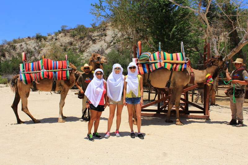 Los Cabos: Camel Ride in the Canyon & Thrilling Water-Slides - Swimming, Walking, and the Water-Slide Promise