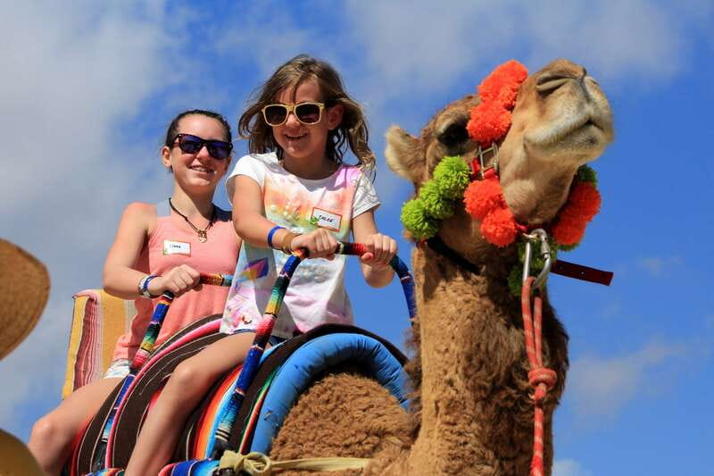 Los Cabos: Camel Ride in the Canyon & Thrilling Water-Slides - Price, Park Fee, and Transport: Where the Value Adds Up