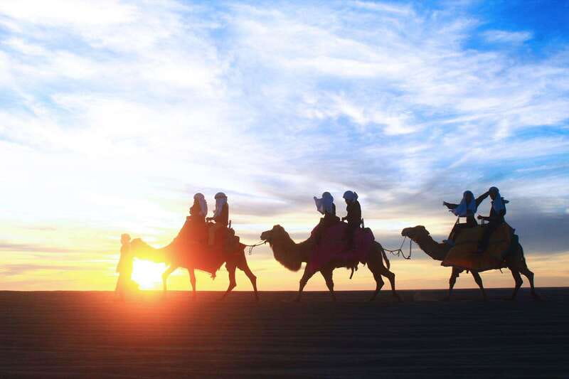Los Cabos: Camel Ride Safari with Lunch and Tequila Tasting - Key Things I’d Focus On Before You Go