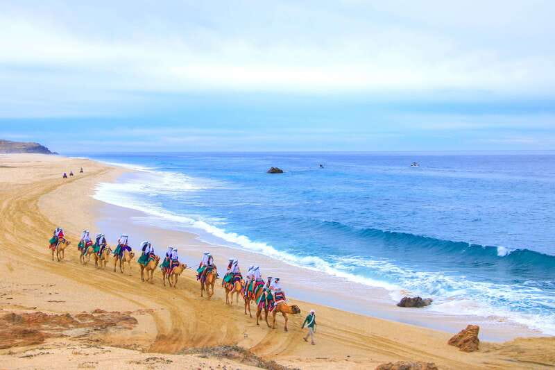Los Cabos: Camel Ride Safari with Lunch and Tequila Tasting - Logistics That Matter (And Save You Hassle)