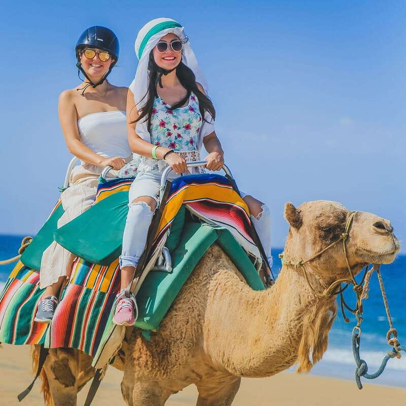 Los Cabos: Camel Ride Safari with Lunch and Tequila Tasting - When This Tour Is a Great Fit