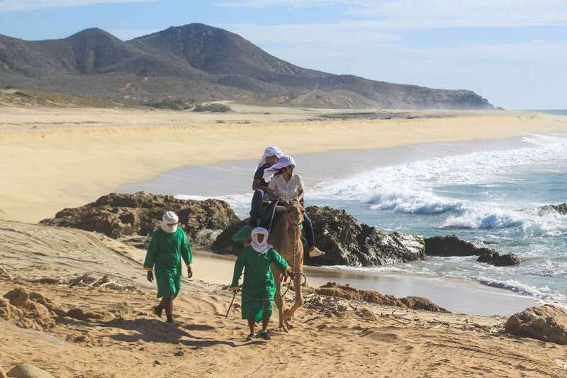 Los Cabos: Camel Ride Safari with Lunch and Tequila Tasting - Should You Book This Los Cabos Camel Safari?