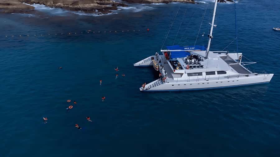 Los Cabos Catamaran: Iconic Sunset Cruise with Drinks & DJ - Price and value: is $79 a fair deal?