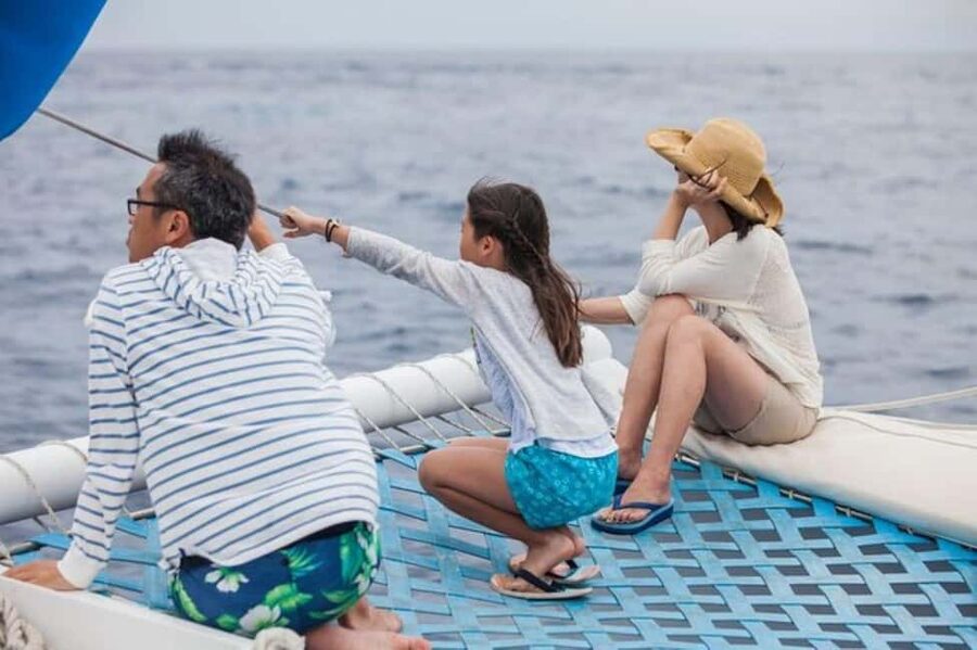 Los Cabos: Catamaran Whale Watching Cruise - Price and value: is $95 a fair deal for Los Cabos whale watching?