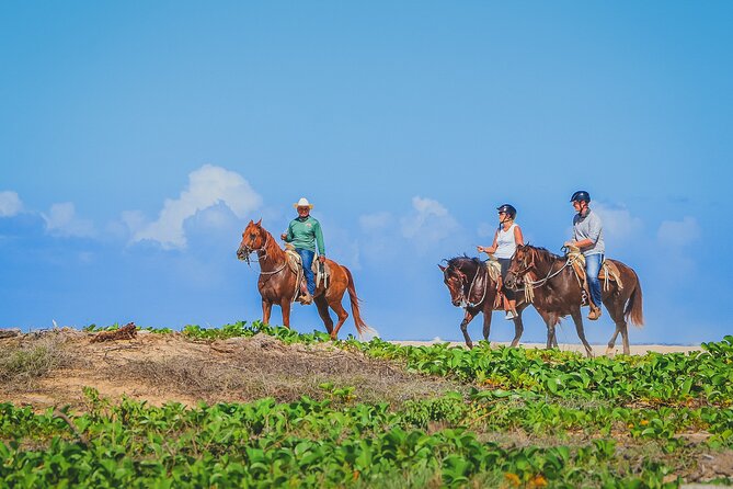 Los Cabos Combo: ATV + Horseback Riding - Who this tour fits best, and who should think twice