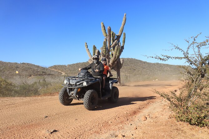 Los Cabos - COMBO Horseback Riding & ATV Tour - Tequila tasting and buffet: don’t treat it like filler