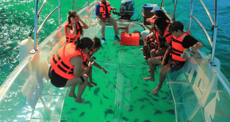 Los Cabos: Get to know the arch on the iconic transparent boat tour - Weather, Timing, and Realistic Expectations
