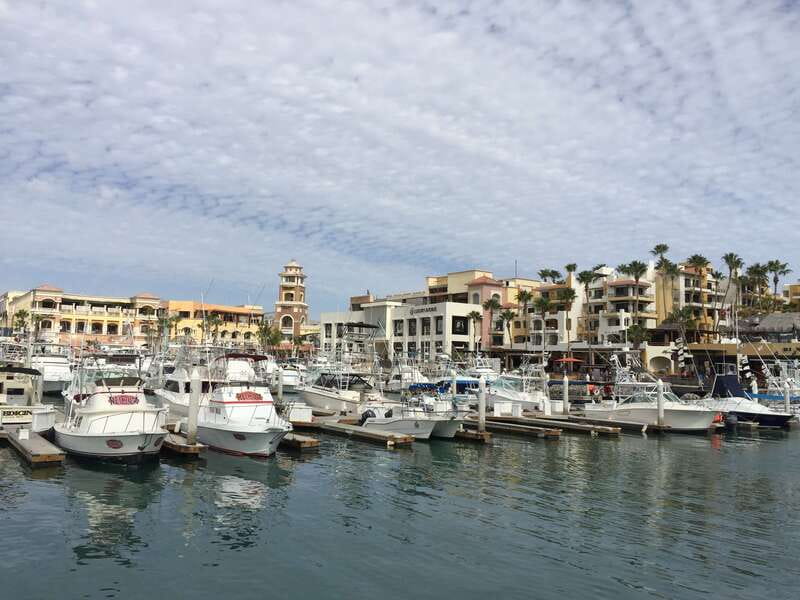 Los Cabos: Half-Day San Lucas and San Jose Tour - H2: Cabo San Lucas Marina Walk and the Tourist Corridor View
