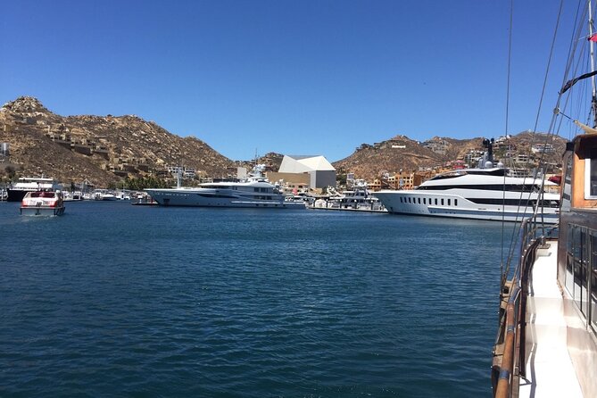 Los Cabos Half-Day Tour Discovering San Jose and San Lucas - Cabo downtown time: what to do with your last hour
