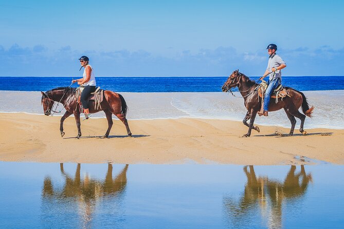 Los Cabos Horseback Riding - Price and Value: What $120 Really Buys in Los Cabos