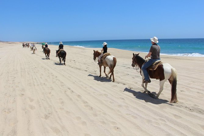 Los Cabos Horseback Riding - Guides Make or Break It: What to Expect From Felix, Billy, and Alfredo