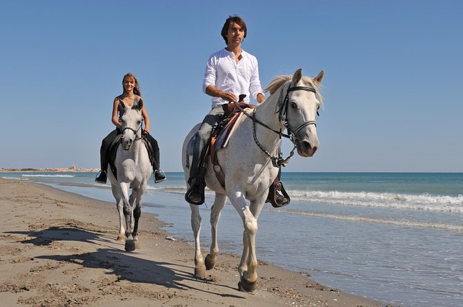Los Cabos Horseback Riding - Horses and Animal Care: What You Can Infer (and What You Should Watch)