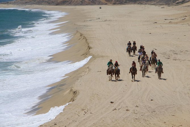 Los Cabos Horseback Riding - Who This Horseback Ride Fits Best (and Who Should Reconsider)