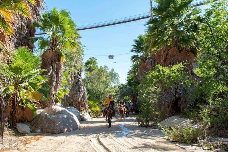 Los Cabos: Horseback Riding in Canyon a Mexican Experience - Practical Stuff: Cameras, What to Bring, and Who Should Skip This Ride