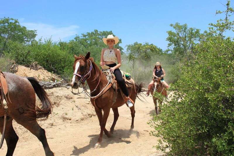 Los Cabos: Horseback Riding in Canyon a Mexican Experience - Seeing the Largest Hanging Bridge in Baja (Plus When It Works Best)