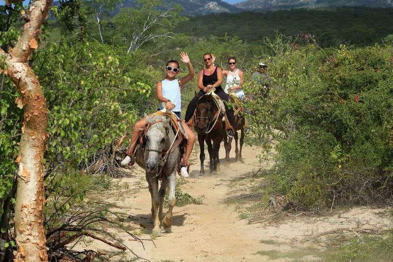 Los Cabos: Horseback Riding in Canyon a Mexican Experience - Animal Sanctuary Access: Macaws, Reptiles, and Close-Up Wildlife Time