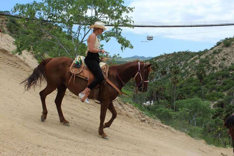 Los Cabos: Horseback Riding in Canyon a Mexican Experience - The 4-Hour Flow: Pickup, Ride Setup, Bridge Photo Stop, and Back Out