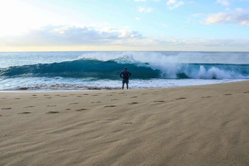 Los Cabos: Kayak to The Arch & Snorkel + Transport & Photos - Pelican Rock snorkeling: what you’ll likely see (and why the guide matters)