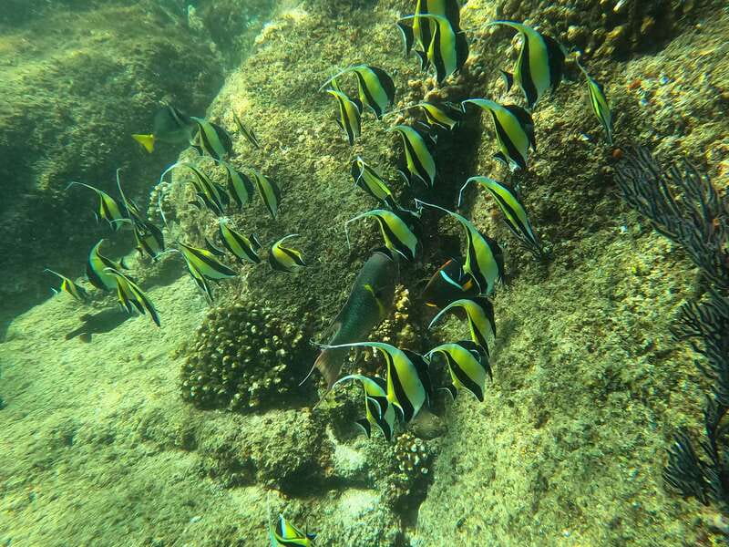 Los Cabos: Kayak to The Arch & Snorkel + Transport & Photos - Tandem kayak setup, gear, and comfort tips that actually help