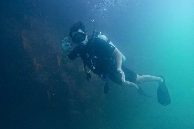 Los Cabos Open Water Diver Course - Sea of Cortez Underwater Training: Why the Locations Matter